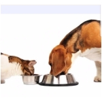 Alimentos Para Mascotas