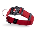 Collar Para Perro Talle S Hasta 20kg Memopet Italy / Nfc